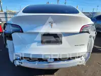 2023 Tesla Model Y photo