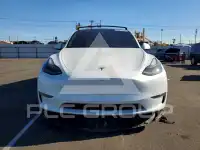 2023 Tesla Model Y фото