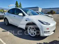 2023 Tesla Model Y фото