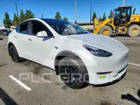 2023 Tesla Model Y photo