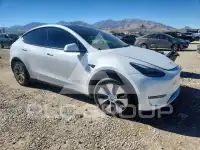 2023 Tesla Model Y photo