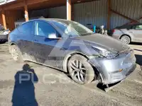 2023 Tesla Model Y фото