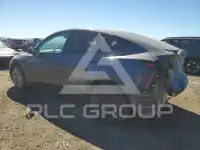 2023 Tesla Model Y photo