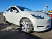 2023 Tesla Model Y photo