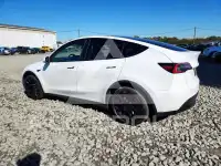 2023 Tesla Model Y photo
