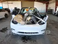 2023 Tesla Model Y photo