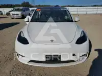 2023 Tesla Model Y photo