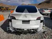 2023 Tesla Model Y photo