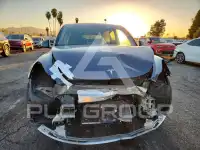 2023 Tesla Model Y photo