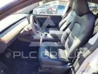 2023 Tesla Model Y photo