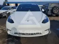 2023 Tesla Model Y photo