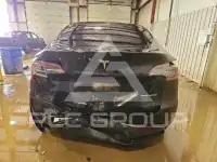 2023 Tesla Model Y photo