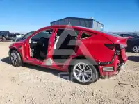 2023 Tesla Model Y фото