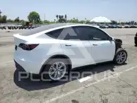 2023 Tesla Model Y фото