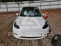 2023 Tesla Model Y photo