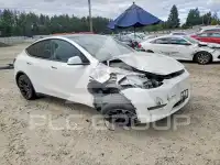 2023 Tesla Model Y photo