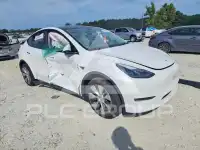 2023 Tesla Model Y фото