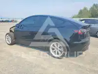 2023 Tesla Model Y фото