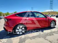 2023 Tesla Model Y фото
