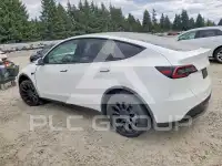 2023 Tesla Model Y photo