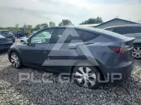 2023 Tesla Model Y фото