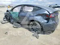 2023 Tesla Model Y фото