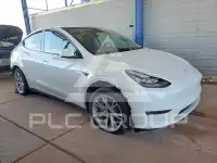 2023 Tesla Model Y photo
