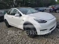 2023 Tesla Model Y photo
