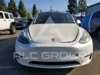 2023 Tesla Model Y photo