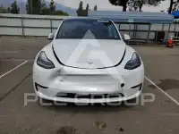2023 Tesla Model Y photo