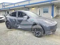 2023 Tesla Model Y photo
