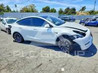 2023 Tesla Model Y фото