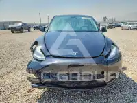 2023 Tesla Model Y photo