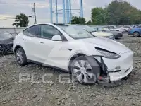2023 Tesla Model Y фото