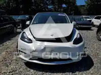 2023 Tesla Model Y фото