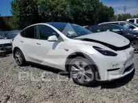 2023 Tesla Model Y фото