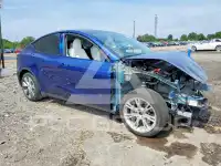 2023 Tesla Model Y photo