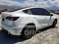 2023 Tesla Model Y photo