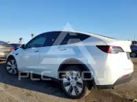 2023 Tesla Model Y photo