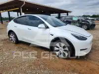 2023 Tesla Model Y photo