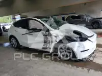 2023 Tesla Model Y photo