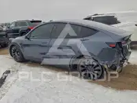 2023 Tesla Model Y photo