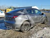2023 Tesla Model Y фото