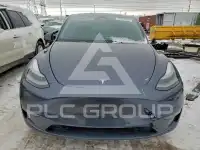 2023 Tesla Model Y photo