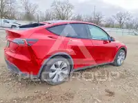 2023 Tesla Model Y photo