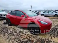 2023 Tesla Model Y photo
