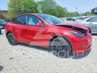 2023 Tesla Model Y фото