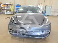 2023 Tesla Model Y фото