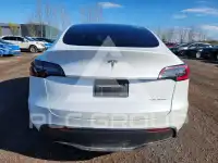 2023 Tesla Model Y photo