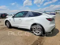 2023 Tesla Model Y фото